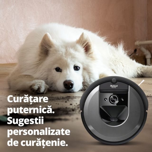 Lasă curățenia în seama lui iRobot® Roomba® i7,  pentru ca tu să te bucuri de animalele de companie fără griji. 🐕

Aspiră părul de animale de pe covoare și suprafețe dure.
Aplicația mobilă iRobot Home face sugestii personalizate de curățenie în funcție de animăluțul tău și perioadele de năpârlire.

Preț redus: 2599 Lei
 

 #cleaning #cleaninghacks #cleanhouse #cleanhome #curatenie  #cleanhouse #aspirator #irobot #roombacombo